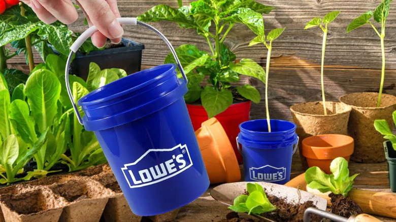 Three fingers hold a mini bucket from Lowe's by the handle as various plants are pictured in the backround, one planted in a mini bucket.