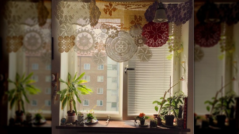 Doily curtain hung in window with plants below