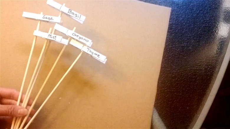 White clothespins with plant names written on them clipped to wooden skewers.