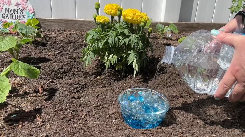 Person pouring water into a bee water station made with a bowl and gemstones.