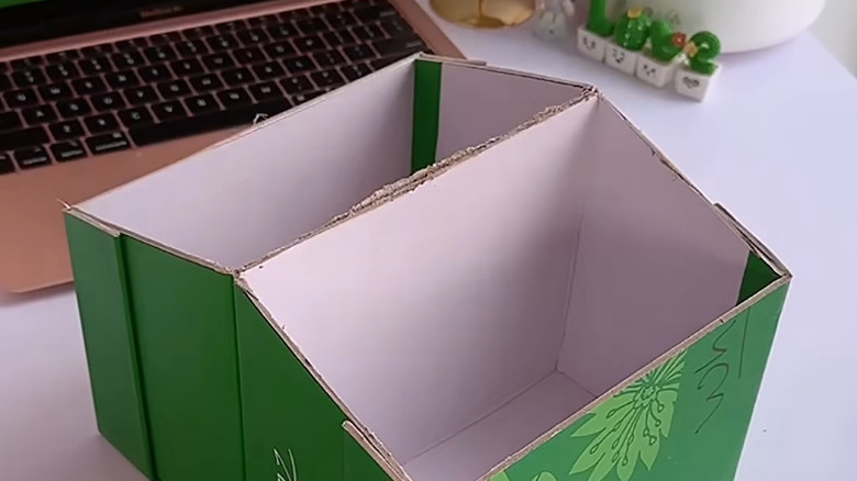 green shoe box with compartments