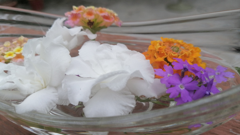 Flowers floating in water inside decorative glass bowl on wooden surface