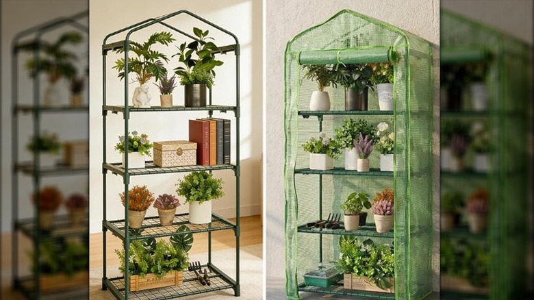 indoor mini greenhouse