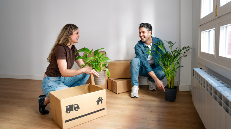 people setting up plants and planters in their apartment