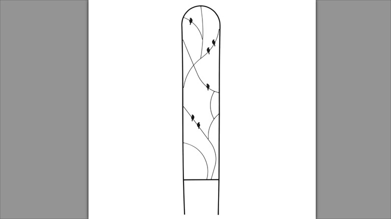 Aldi Belavi Square Bird Trellis
