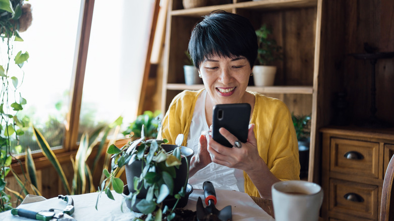 woman planning garden on smartphone