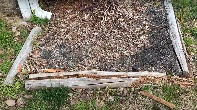 rotting wood in raised bed