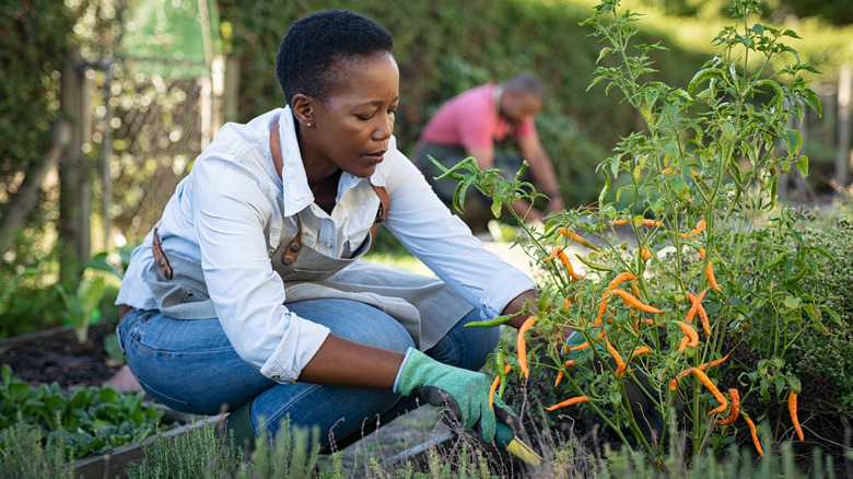 Woman working in garden