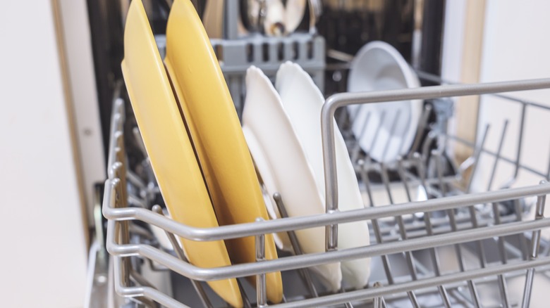 clean plates in dishwasher