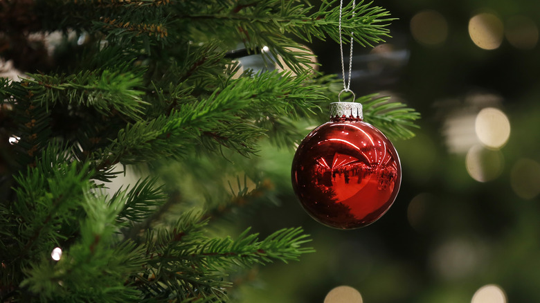 ornament hanging from Christmas tree