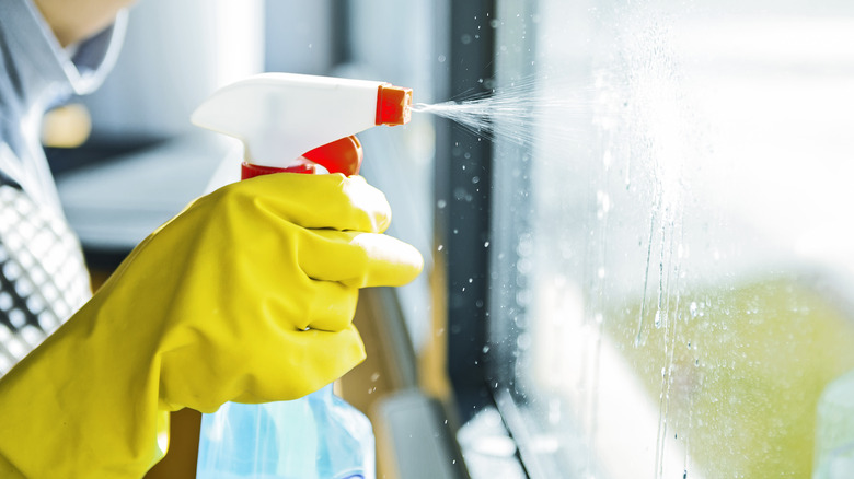 person spraying cleaner on window