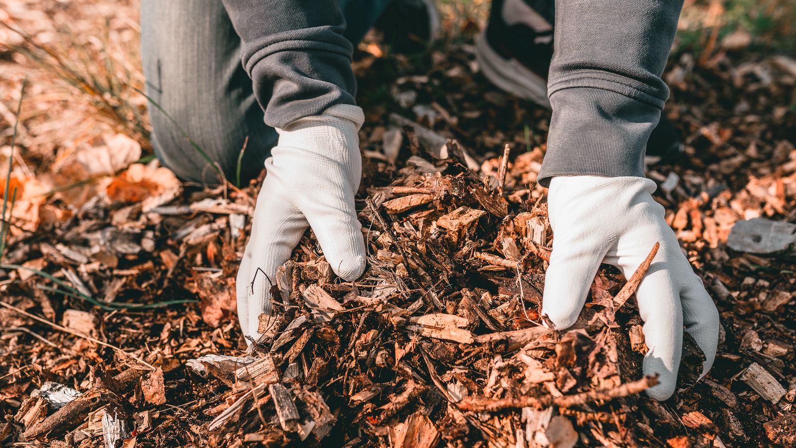Use Mulch All The Ways To Use Mulch In Your Yard And Garden