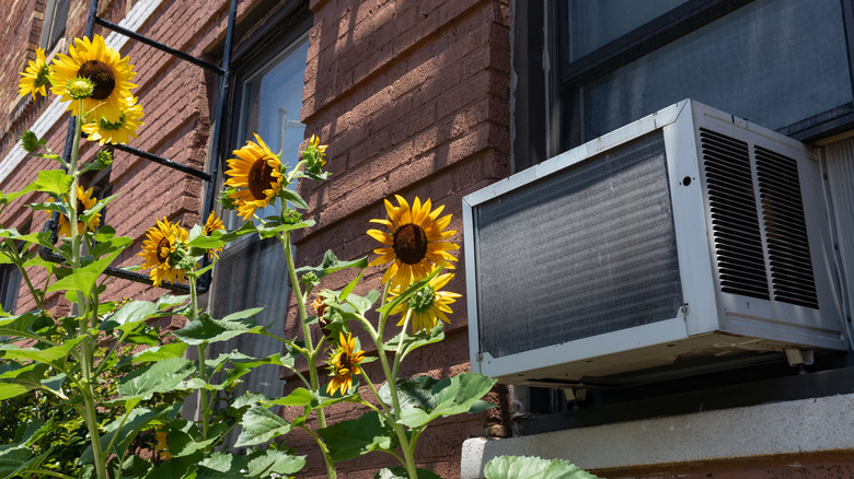 window unit ac