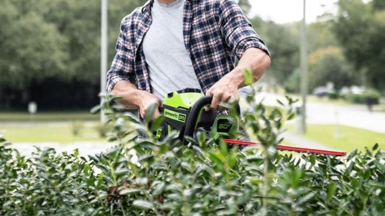 a person trimming a hedge with a Greenworks Battery-Powered Hedge Trimmer