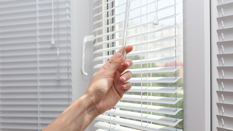 woman and window blinds