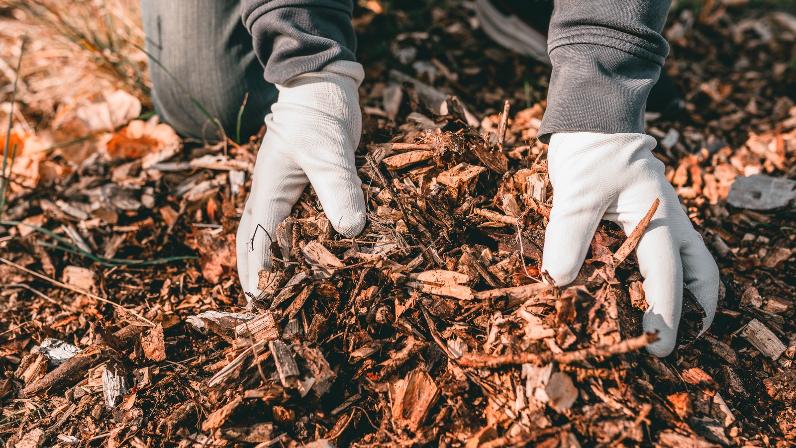 Aluminum Foil Is The Ultimate Addition To Your Mulch