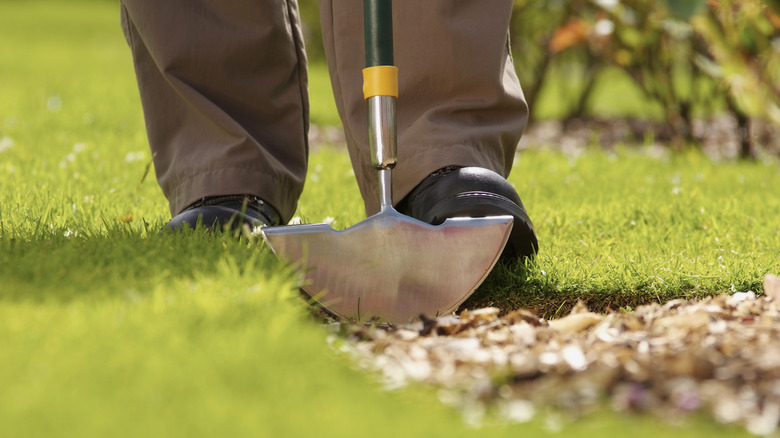 Manual edging tool creating garden bed border