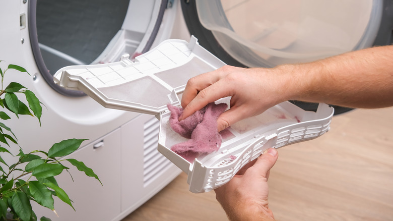 A person collects red-tinted dryer lint from a lint trap