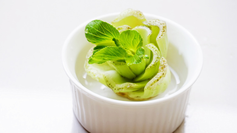 Regrowing Chinese Mustard Green or Pakcoy, Pokcoy or Sawi Sendok from scrap with water in a small bowl