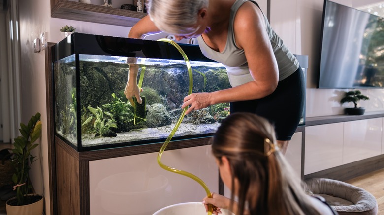 two people emptying a fish tank with a tube