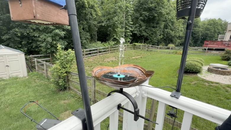 The Gaizerl cyan flower bird bath fountain in a small bird bath in a backyard space