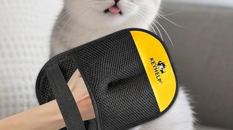 Hand wearing Keyhelp pet hair removal gloves