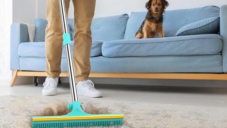Man raking a light-colored carpet while a dog on a sofa looks on