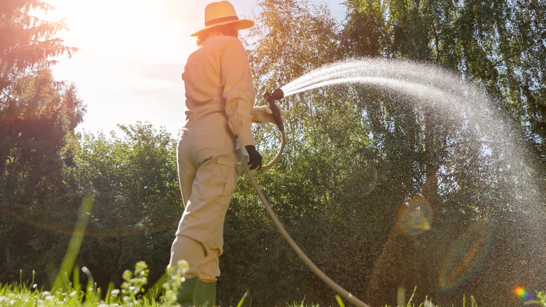 Woman spraying garden with a hose