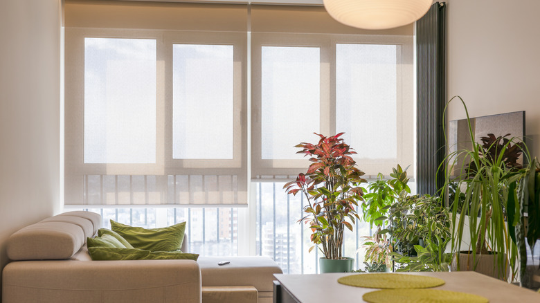 Glass door to patio covered by shades, in living area with houseplants