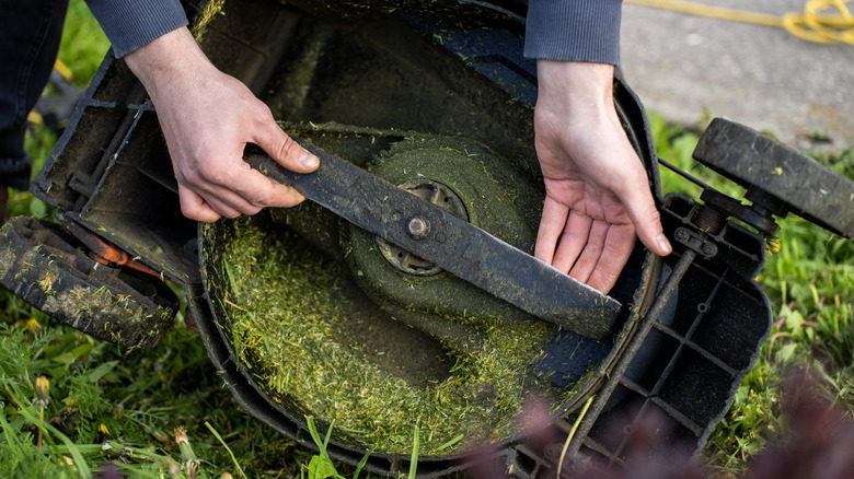 Someone handling a dirty lawn mower