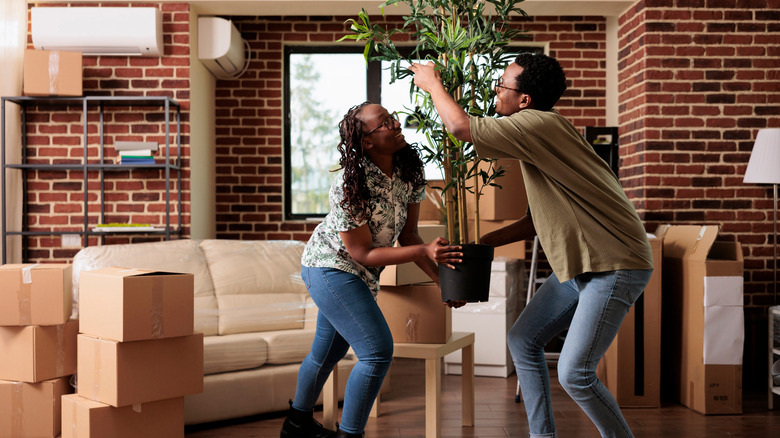 A Black couple struggles to carry a large houseplant.