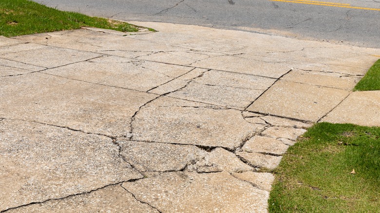 Cracks in cement driveway