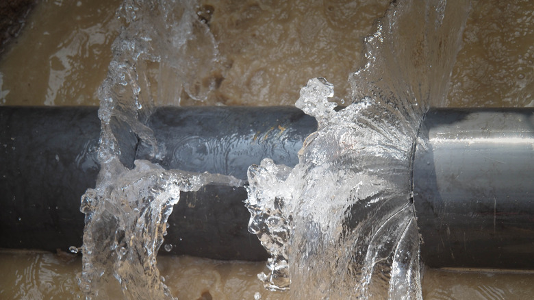 Water gushing from broken pipe