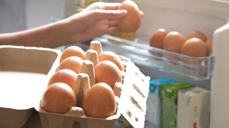 egg organization