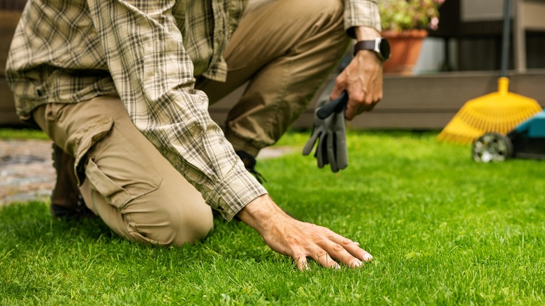 Man touching green grass