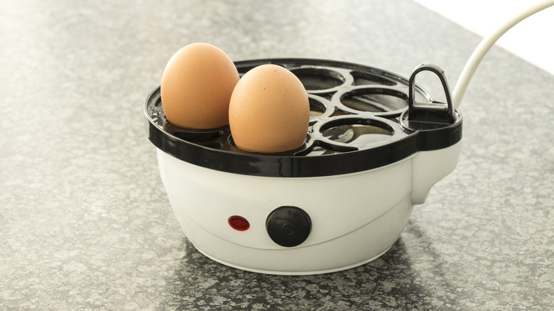 Egg boiler with brown eggs