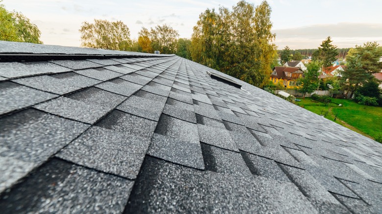 shingle roof