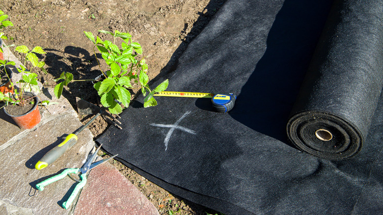 Landscape fabric and plants laying near garden
