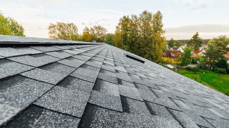 architectural shingle roof
