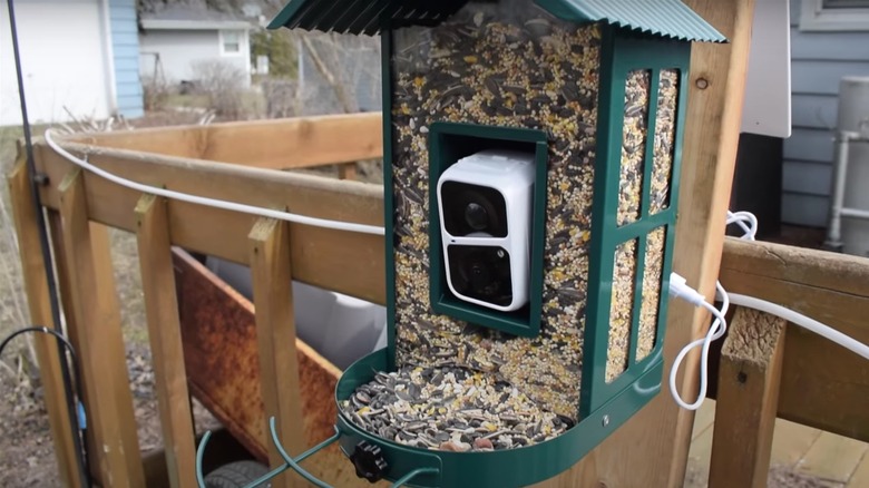 green bird feeder with camera