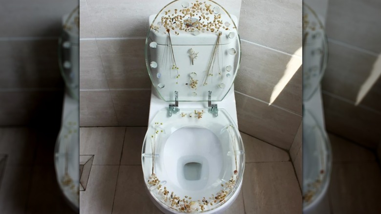 clear toilet seat
