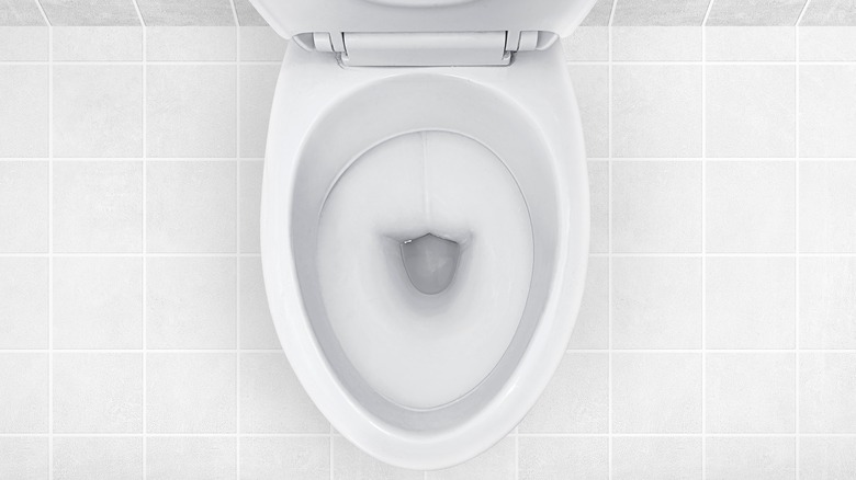a classic toilet