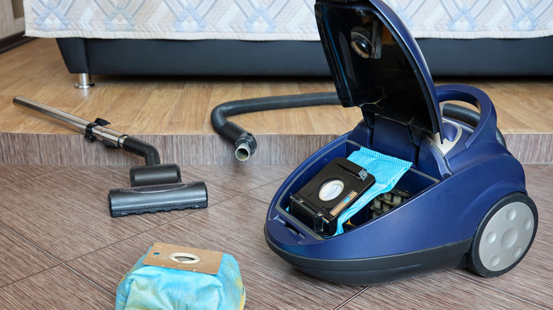 Canister vacuum cleaner with bags