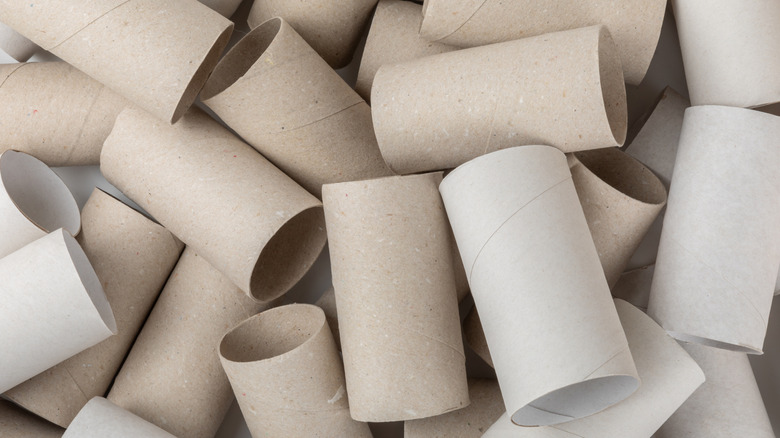 Toilet paper rolls for making DIY tick tubes