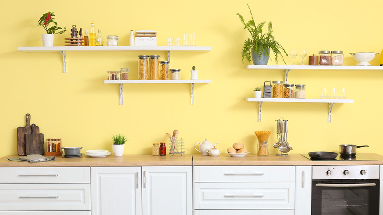 fern on kitchen shelf