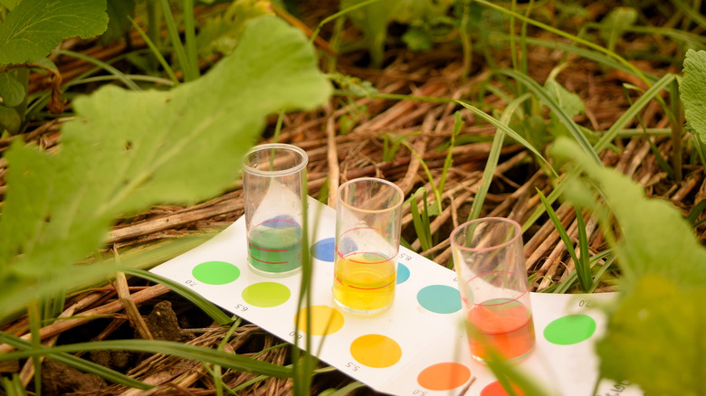 three different color results of a soil pH test kit