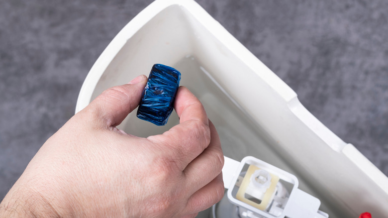 hand holding a toilet tank disinfectant tablet