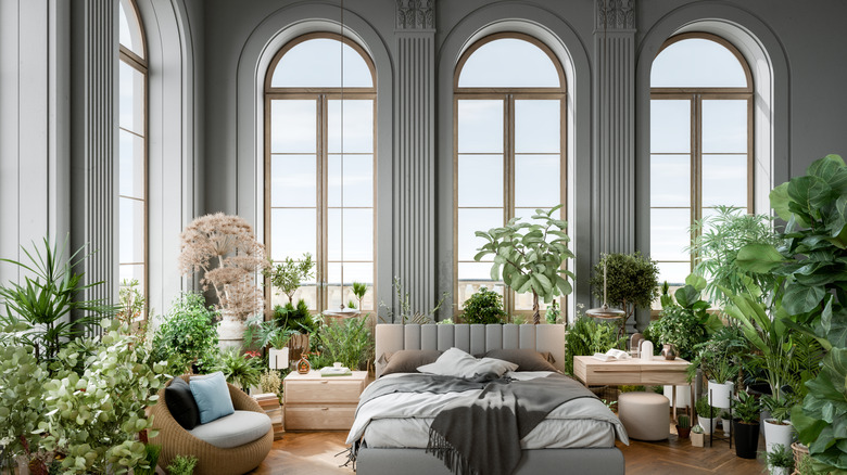 A large bedroom with an abundance of houseplants.