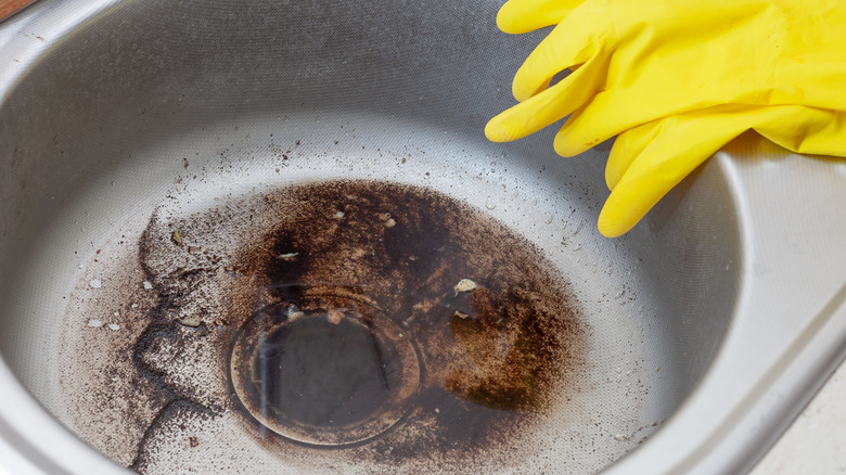 stainless steel sink's dirty drain