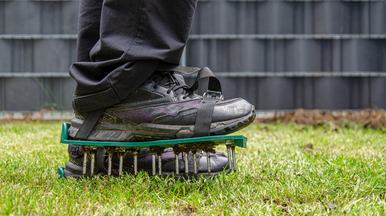 Legs with lawn aerator shoes standing on a lawn